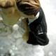 Bride and groom wedding-cake toppers.