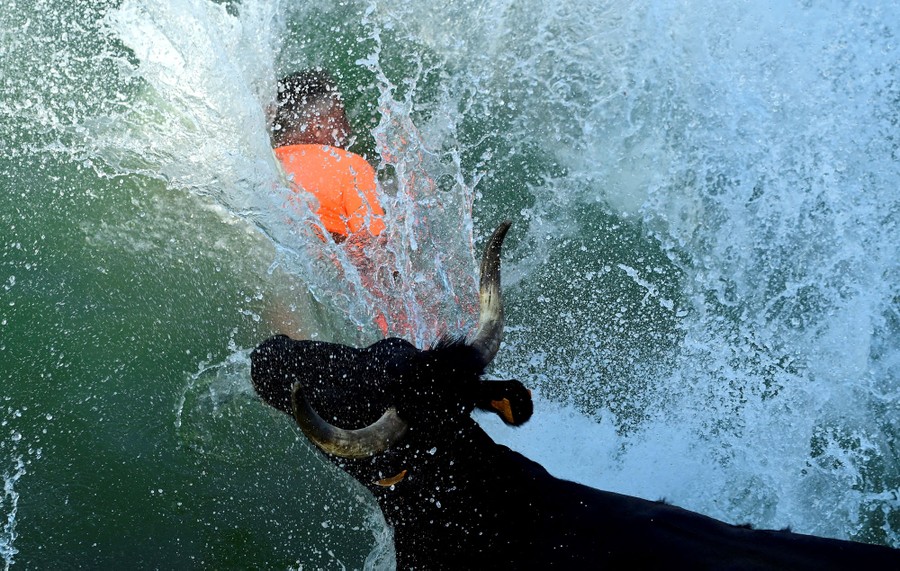 A person and a bull both splash into water.