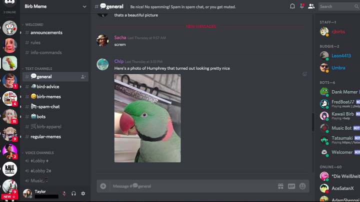 Featured image of post Good Memes For Discord