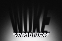 Illustration showing "SOCIALISM" sign, but the shadow of the letters reads "WOKE"