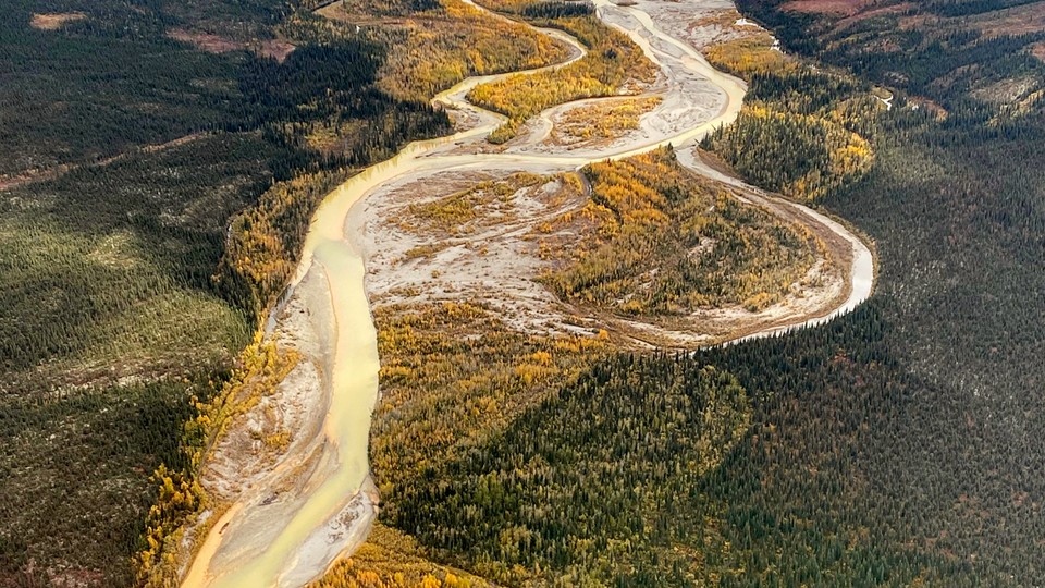 The Salmon River in the Brooks Range runs orange in the early fall of 2020.