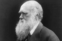 A black and white portrait of Charles Darwin in profile