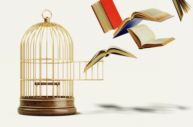 Books fly out of a birdcage