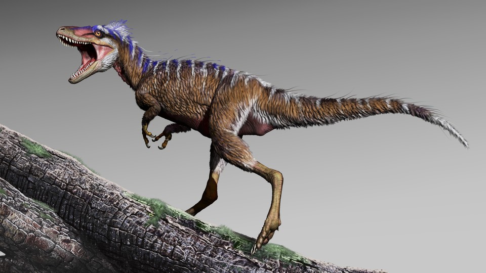 Moros, a newly discovered tyrannosaur