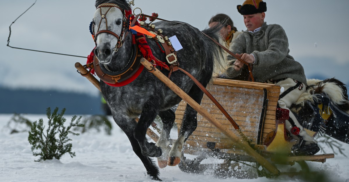 cdn.theatlantic.com image