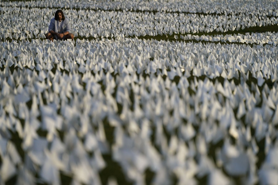 A person sits and looks at a sea of small white flags on the grass of the National Mall.