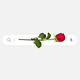 Illustration of Google's Search bar with a rose