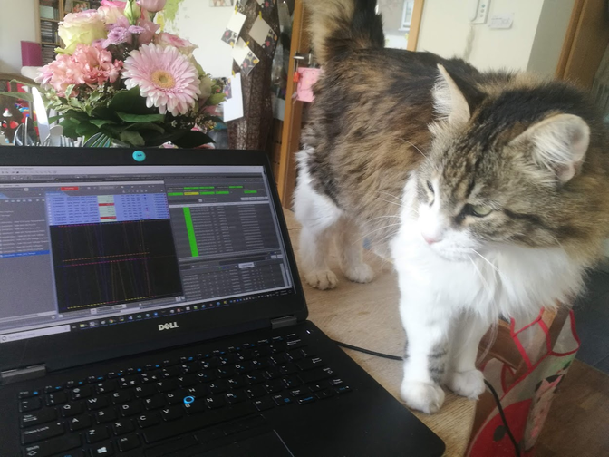 Spacecraft Engineers Have To Worry About Cats Now The Atlantic