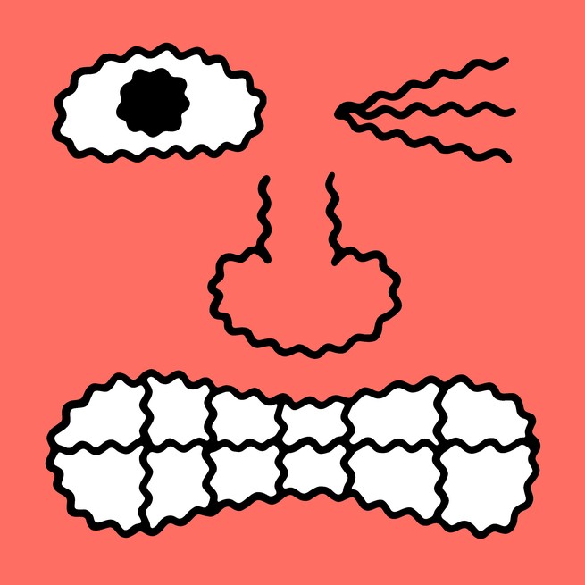A face with one eye wide, the other closed, a nose, and grimacing teeth, all drawn with wavy lines on a red background 