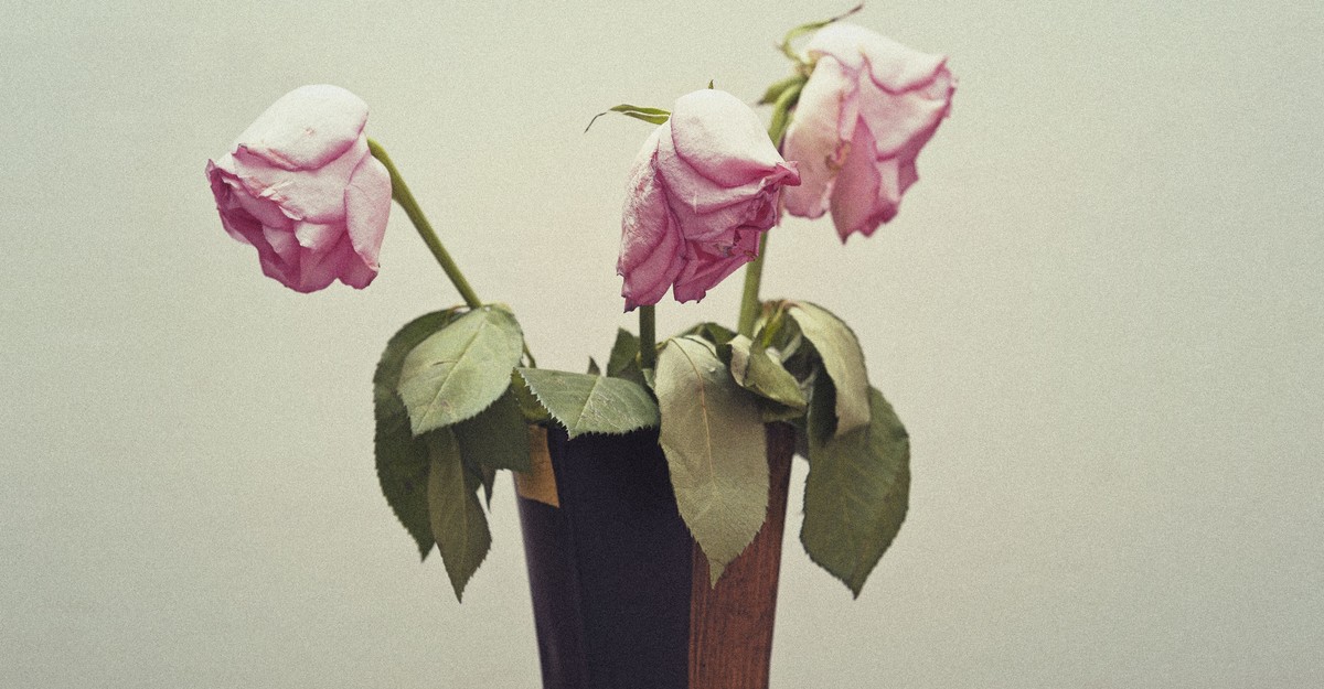 The Horseshoe Theory of Polyamory