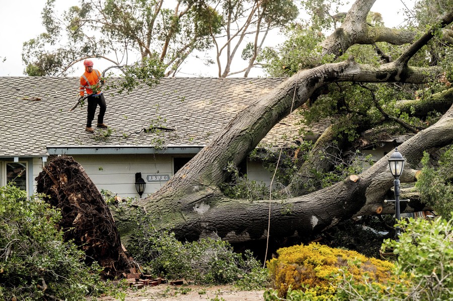 Workers clear a large tree that fell onto a home.