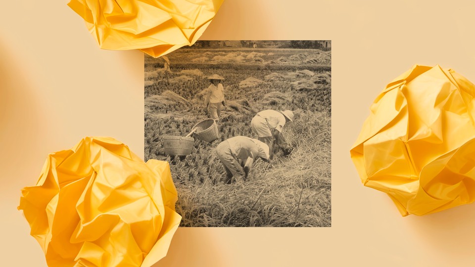 Farmers in Taiwan work the fields.