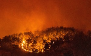 A forest burning in Turkey on August 6, 2021.