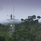 A person stands atop a tower in the Amazon.