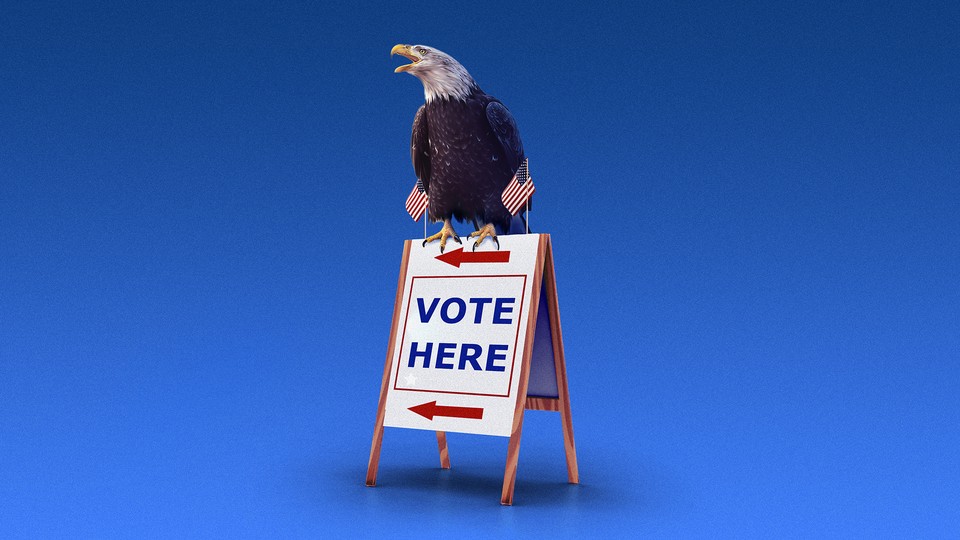 An eagle sitting on a "Vote Here" sign
