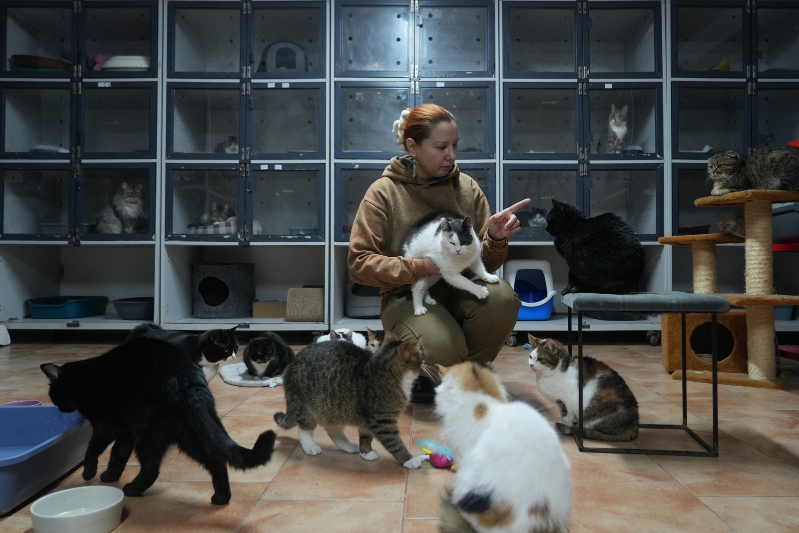 A volunteer spends time with more than a dozen cats in a pet shelter.