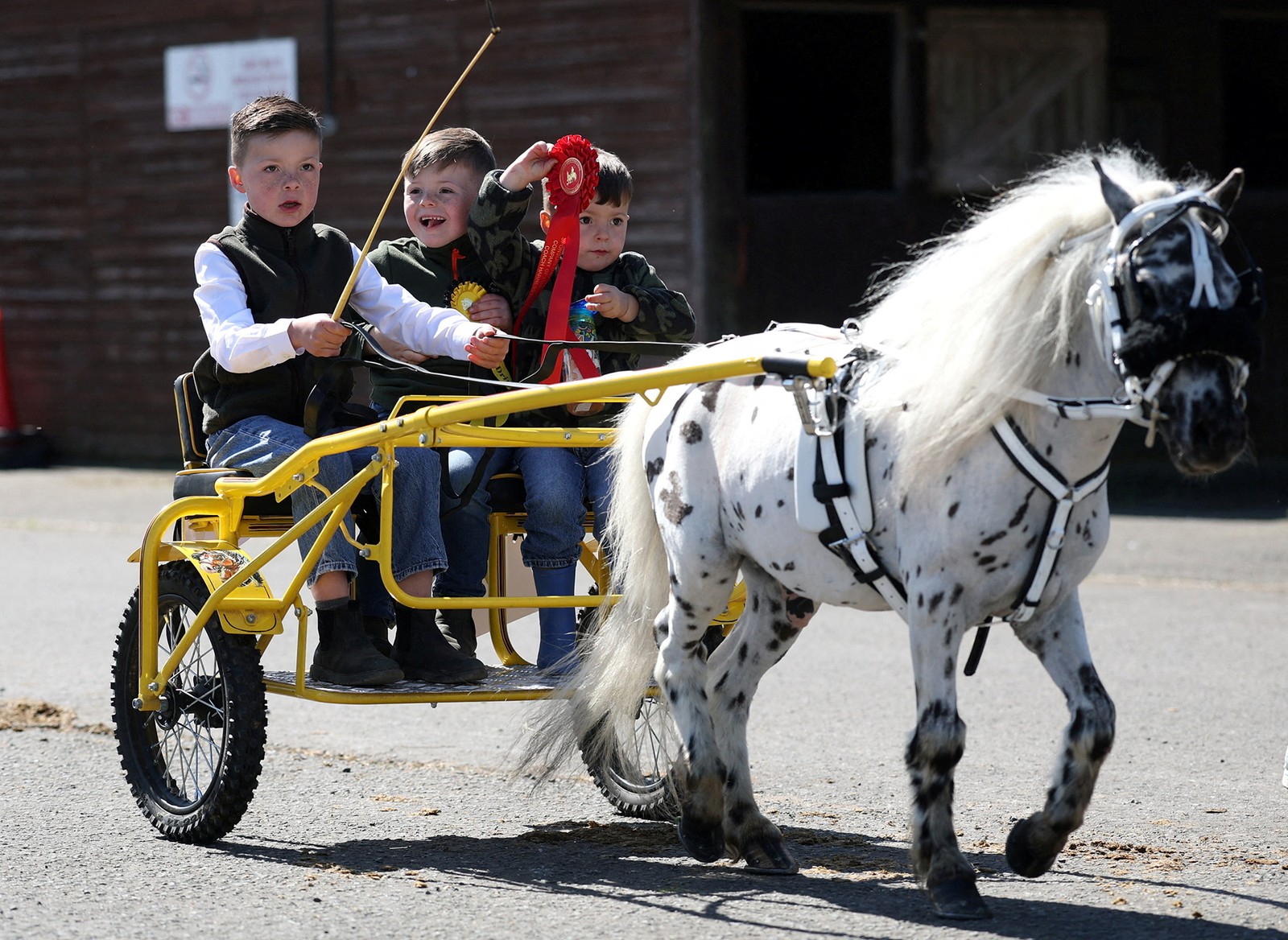 Three young boys ride in a small cart attached to the back of a pony.