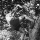 A black-and-white image of a girl smiling as she hangs from a tree branch, with one foot propped against the tree's trunk