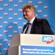 AfD leader Joerg Meuthen speaks at a party meeting about the European elections in January 2019.