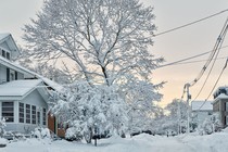 Snow covers houses and trees on a street.