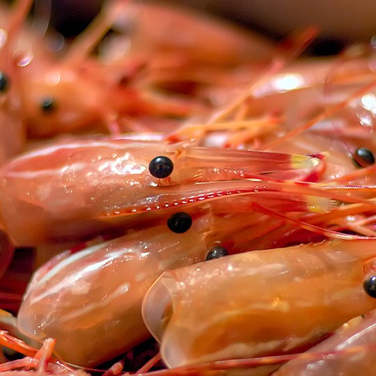 The Global Shrimp Industry Has a Slavery Problem - The Atlantic