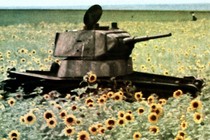 A Russian T-34 tank lies abandoned in a sunflower field.