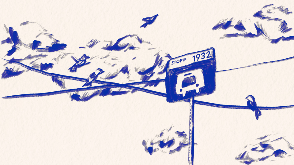 An illustration of birds sitting on wires crossing behind a bus-stop sign, in blue ink on a beige background
