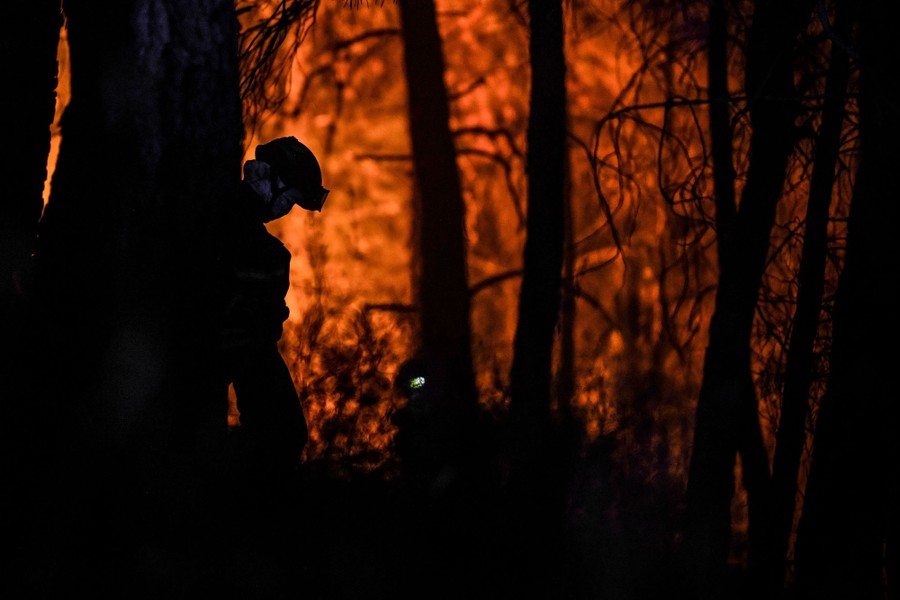 A firefighter leans on a tree in a burning forest.