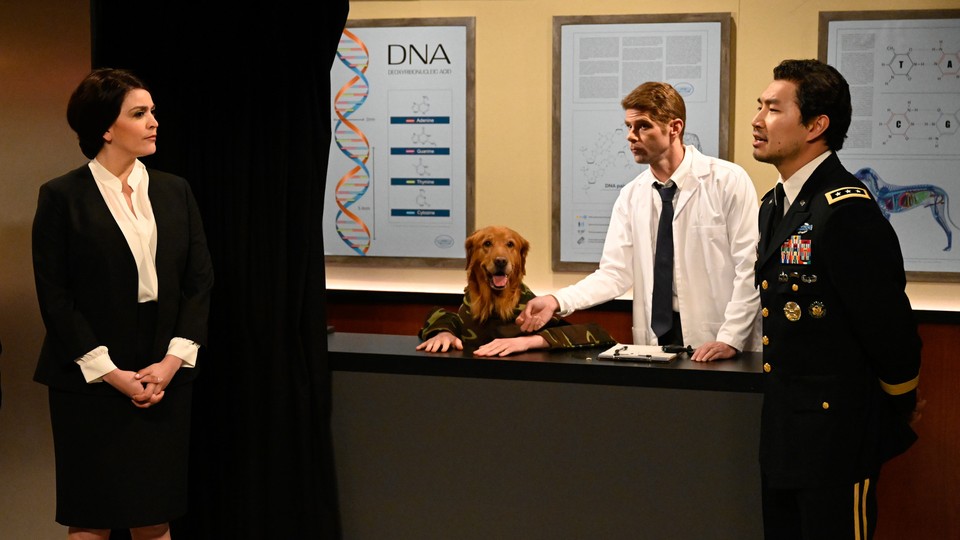 Still from 'Saturday Night Live' featuring SImu Liu in a military uniform, Cecily Strong dressed like a bureaucrat, and Mikey Day dressed like a researcher, all of them surrounding a dog with human hands wearing camouflage