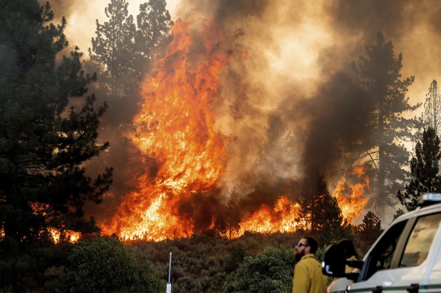 A firefighter stands beside a vehicle, watching a large fire in trees nearby.