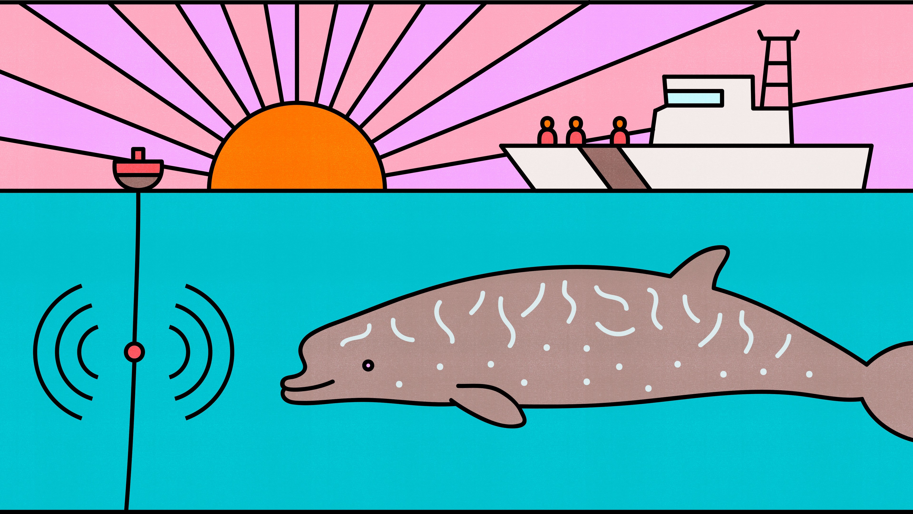 beaked-whales-are-holding-their-breath-right-now-the-atlantic