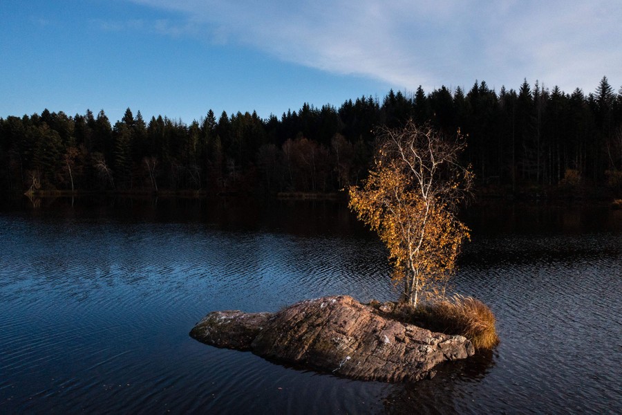 A sunset view of a tiny rock island with a single tree standing in a large pond.
