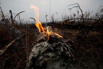 A tract of Amazon jungle is seen after a fire in Boca do Acre, Amazonas state, Brazil, on August 24, 2019.