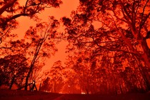 The red sky in Australia, a result of the wildfires.