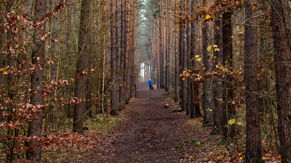 A woman running with dog