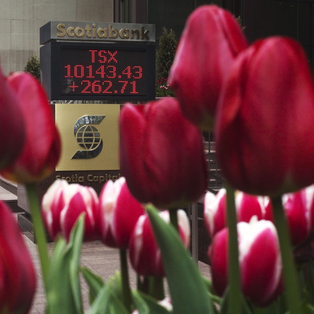 It Is Now Possible to Buy Tulips With Bitcoin - The Atlantic
