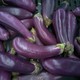 A pile of eggplants