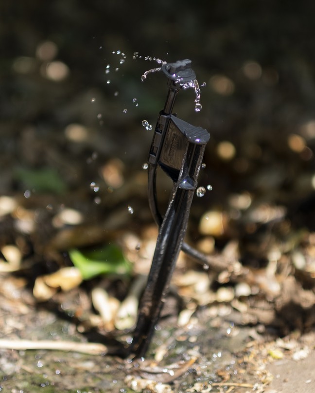 Picture of a sprinkler system providing water to plants and trees at Cadiz Farms