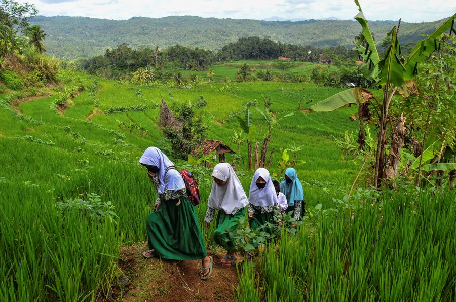 Five young students walk through a field together.