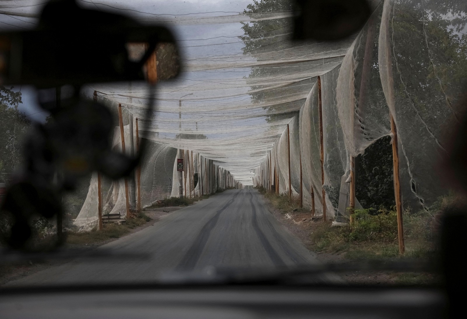 A view from inside a vehicle driving down a road that is covered on both sides and above by netting attached to poles.