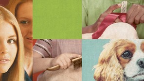 A collage of images including a dog's face, someone brushing a dog's fur, and someone tying a ribbon on a pet