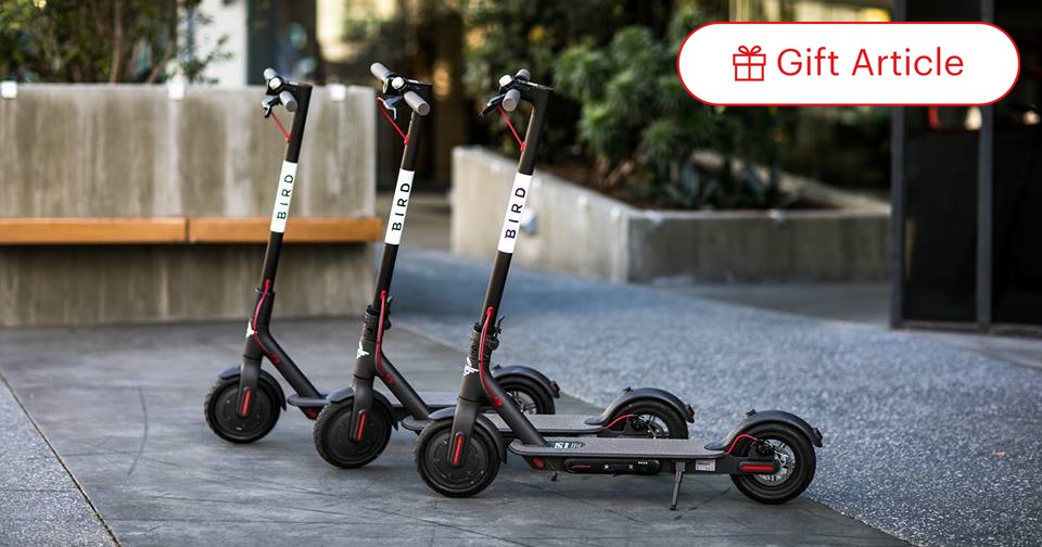 Bird scooters for outlet sale