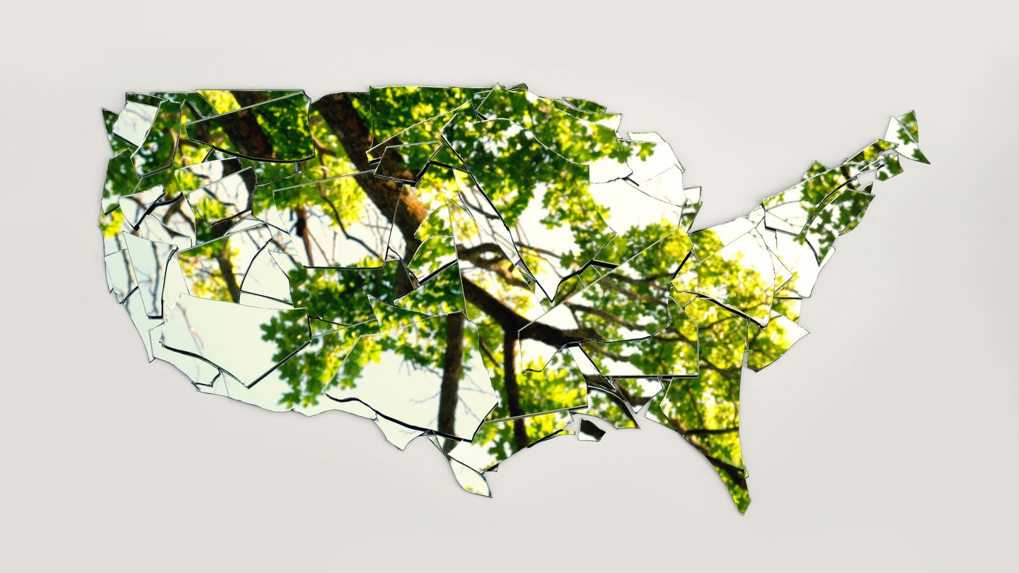 Mirror shards arranged in the shape of the United States, reflecting a tree and the sky