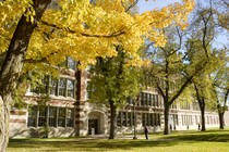 A high school drenched in sunlight