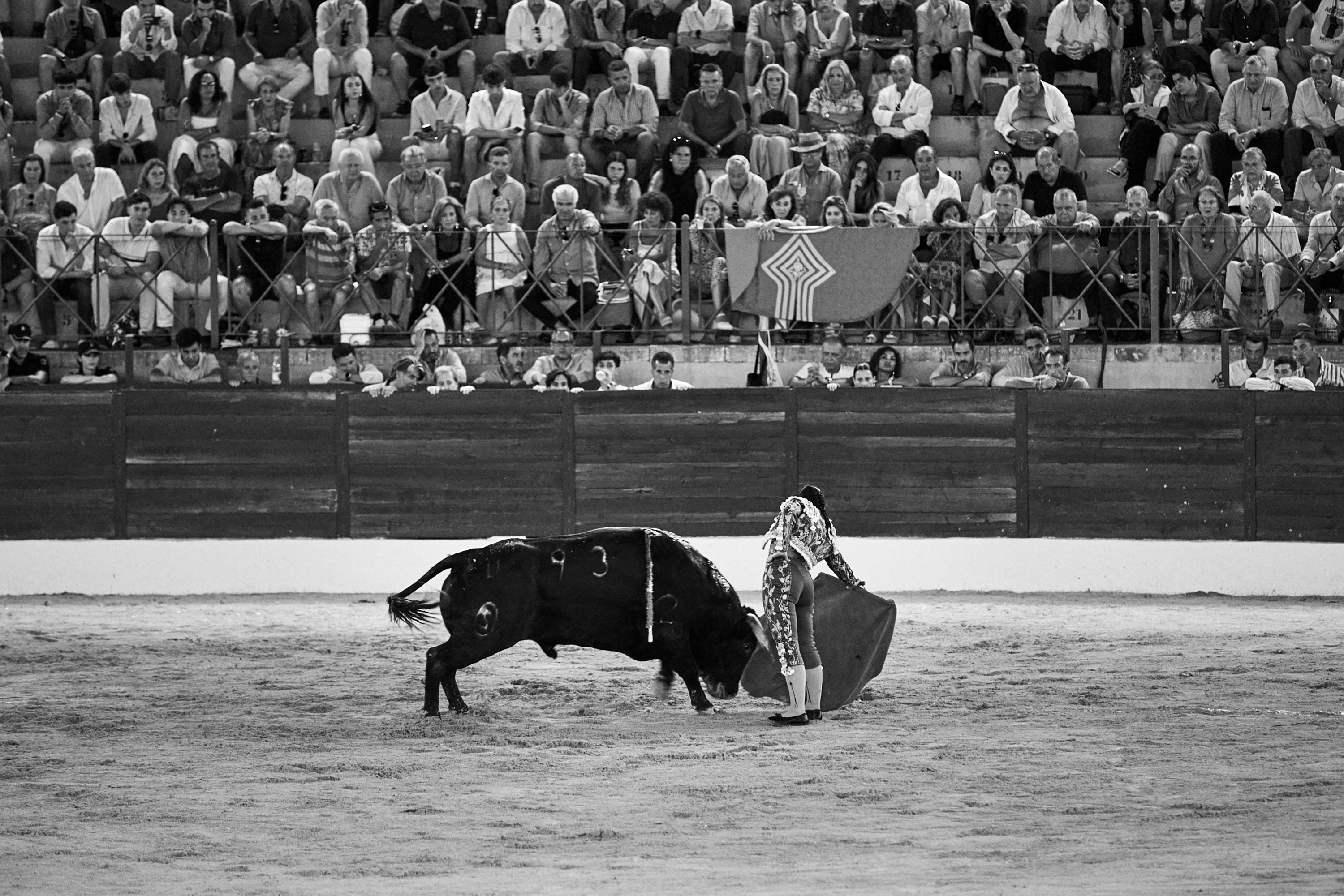 1 of 4 black-and-white photos of woman fighting large bull