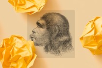 A pencil-drawn illustration shows the profile of a Neanderthal.