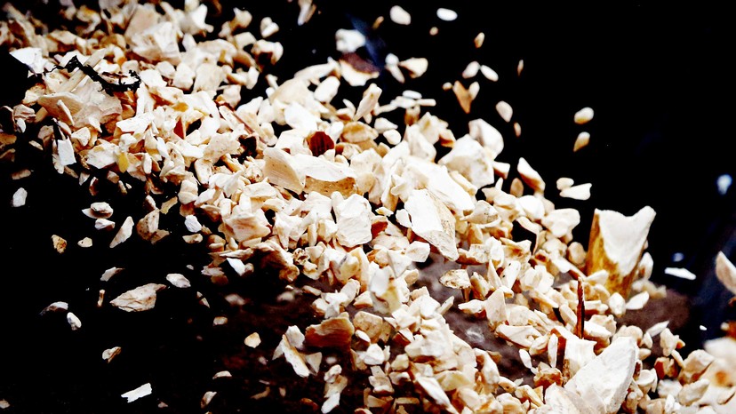 Confessions of an Ivory Consumer - The Atlantic