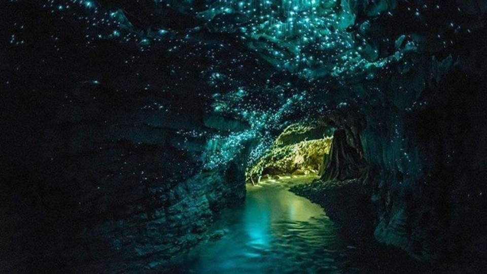 A cave of glowworms