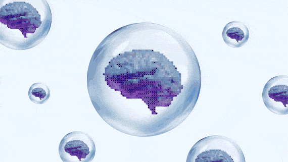 Are We in an AI Bubble?