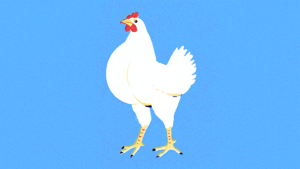 a chicken's breast inflate; and deflates; its things muscle up and then deflate
